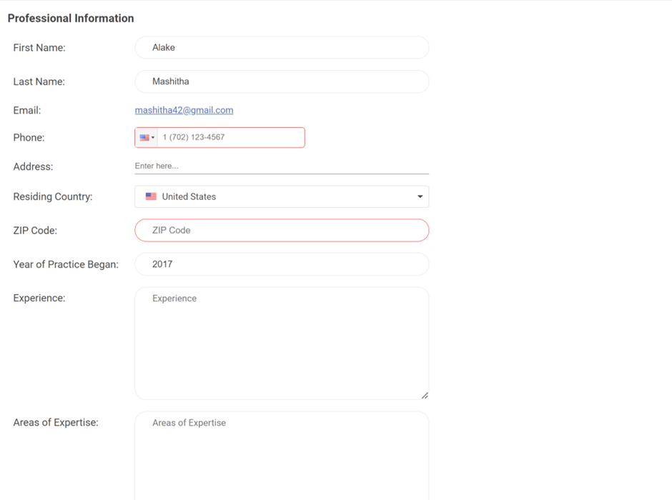 Professional profile details update form