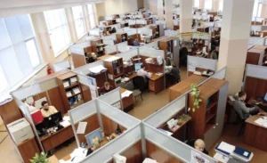 employees working in office cubicles