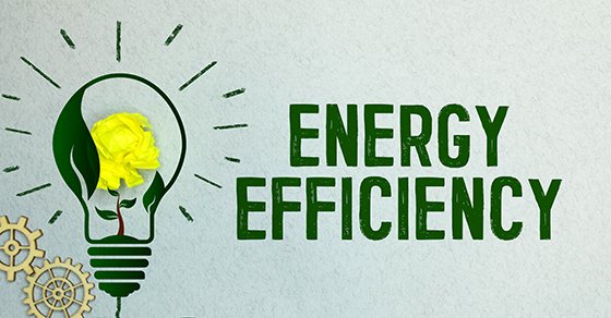 1691601770962 energy efficiency - going green