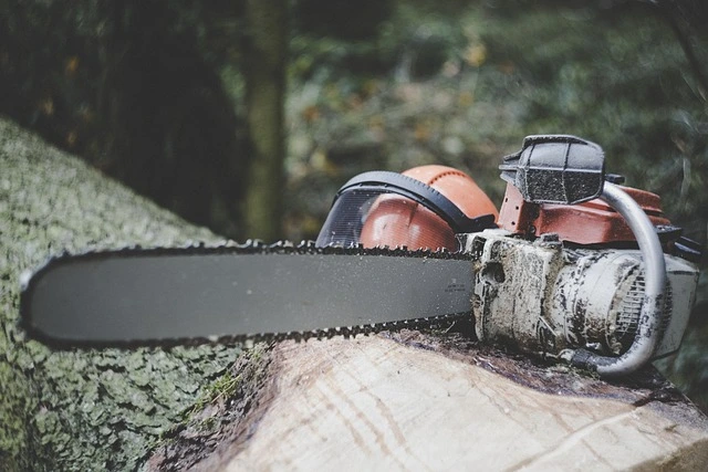 chainsaw-belonging-to-a-Timber-Company-on-top-of-a-log chainsaw-belonging-to-a-Timber-Company-on-top-of-a-log