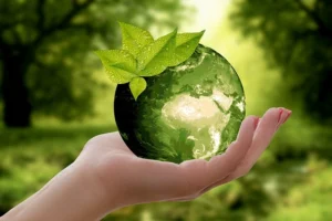 green in the palm of the hand to signify recycling and waste management
