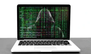 hackers can do fraud and identity theft