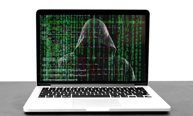 hackers can do fraud and identity theft