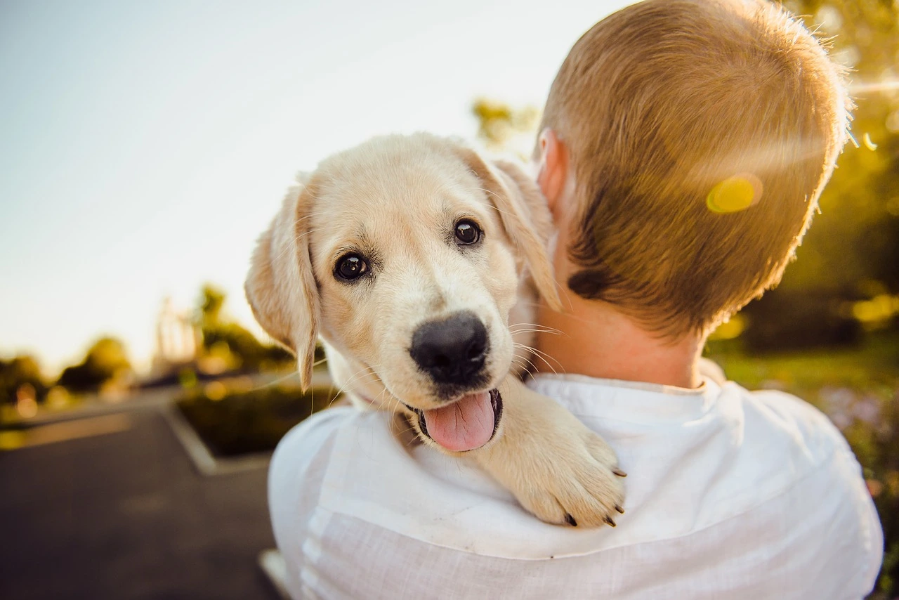 happy-dog-with-child happy dog with child