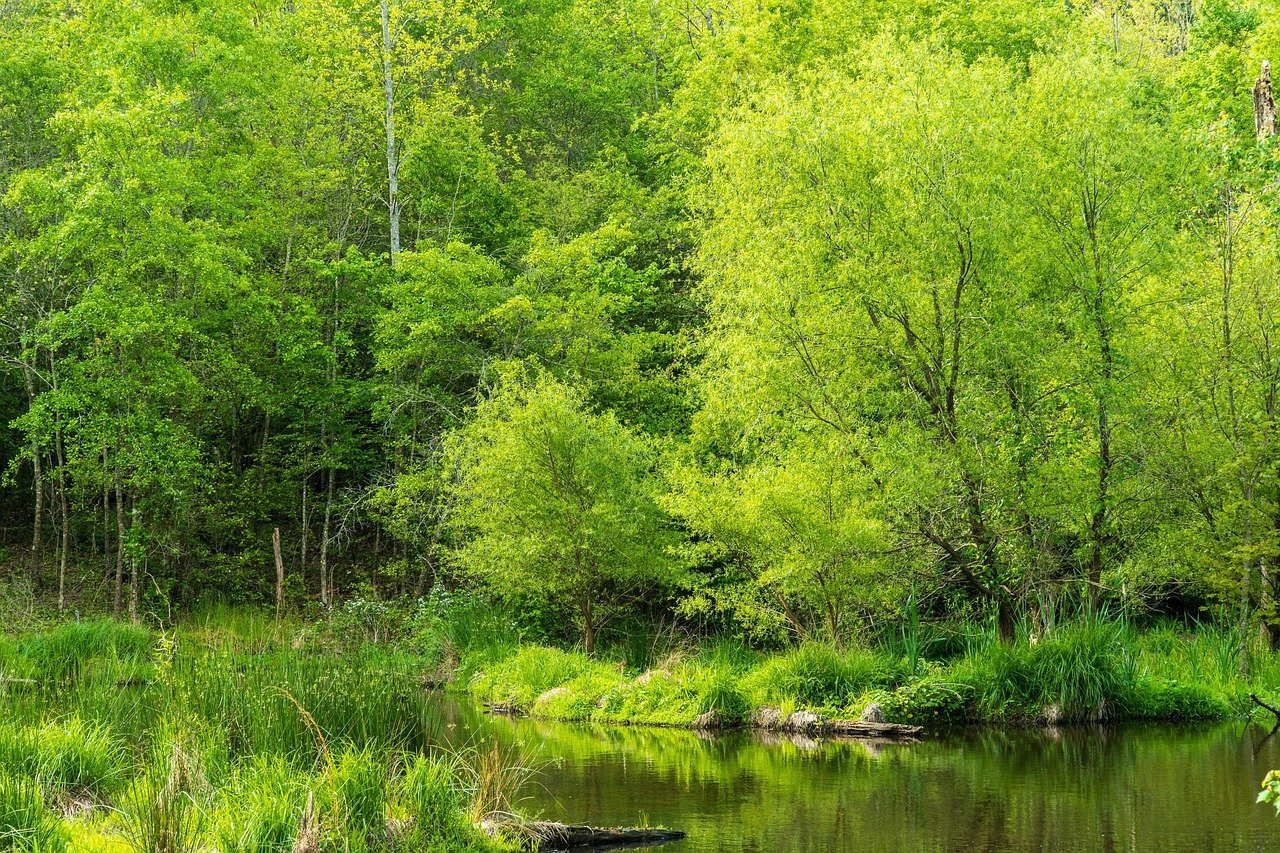 Conservation land Conservation land