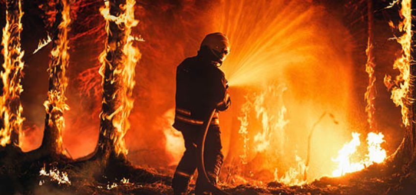 LA wild fire