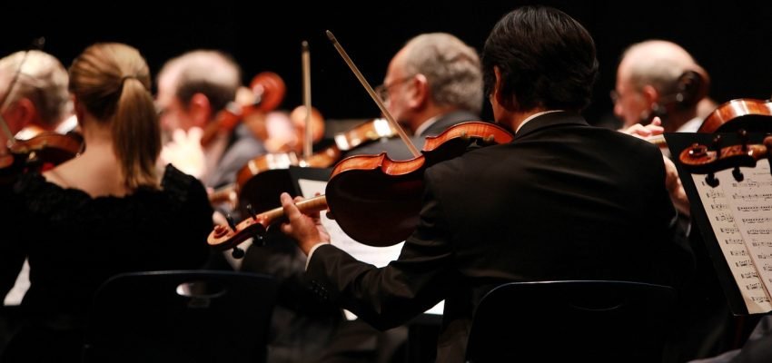 Orchestra