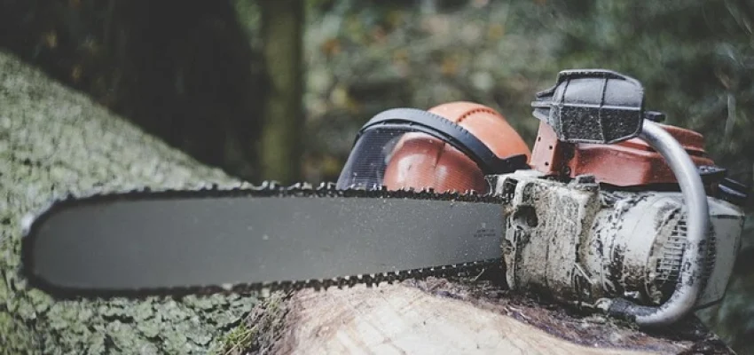 chainsaw-belonging-to-a-Timber-Company-on-top-of-a-log