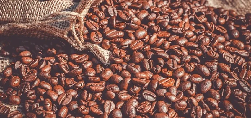 coffee beans in a bag