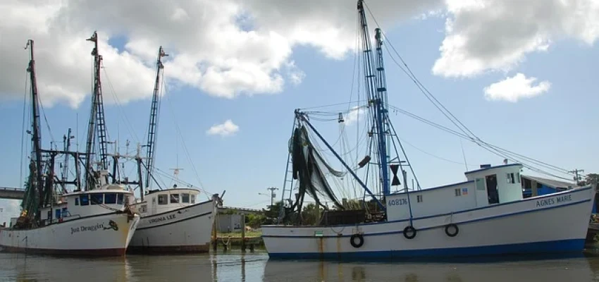commercial-fishing-boat-with-nets
