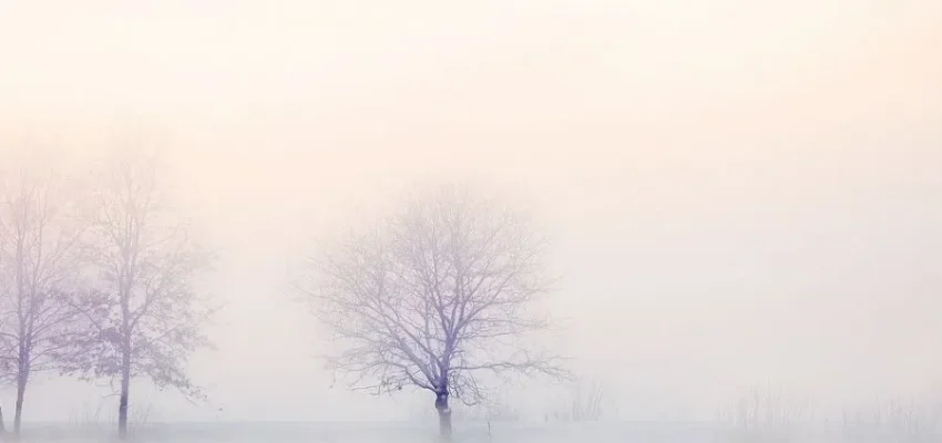 Winter landscape