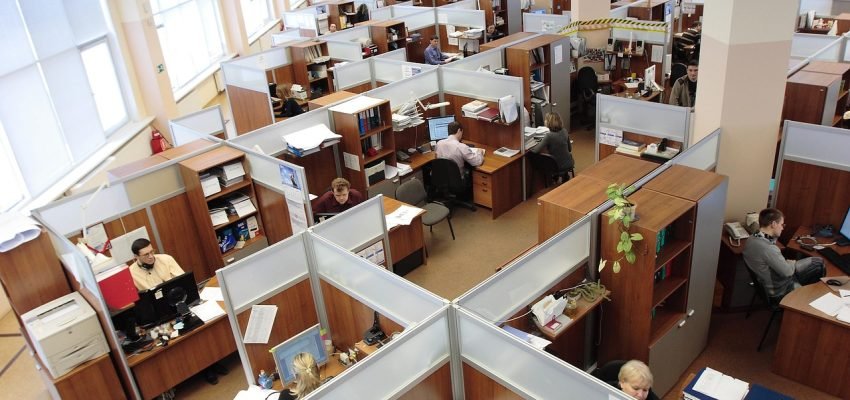 employees working in cubicles in an office