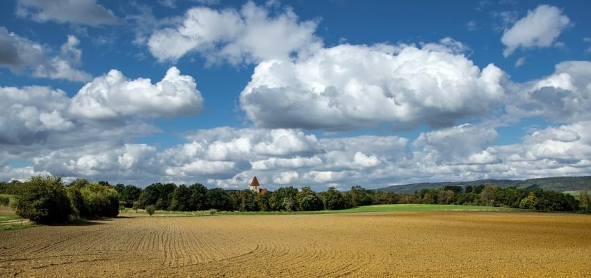 farmland field