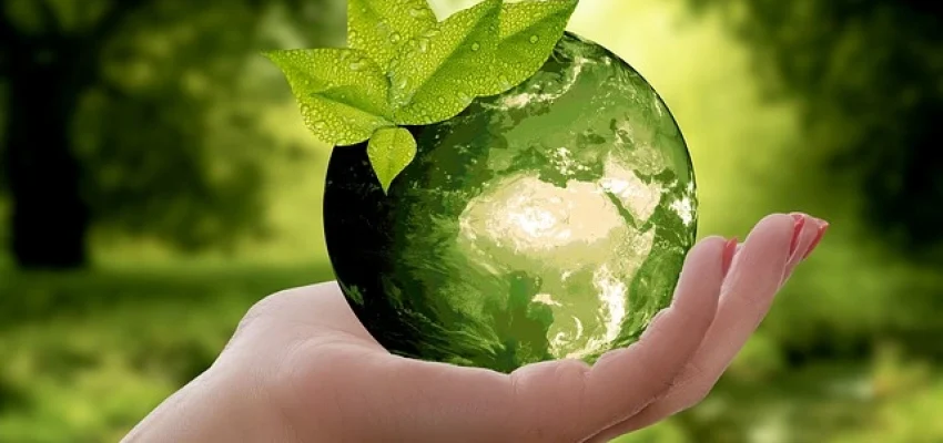 green in the palm of the hand to signify recycling and waste management