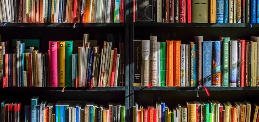 published books on a shelf