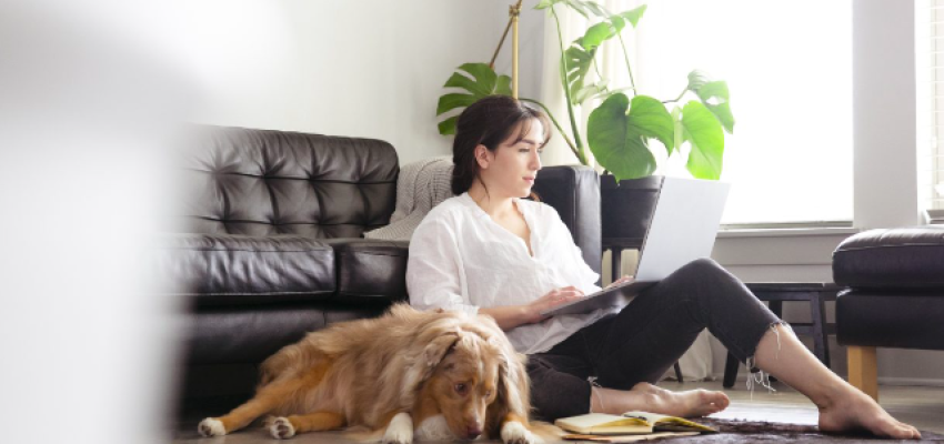 woman sitting at home with her dog looking for a job